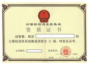 系統(tǒng)集成一級(jí)資質(zhì)標(biāo)準(zhǔn)下的軟件開發(fā)業(yè)績要求