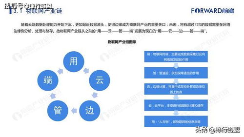 2019年中國物聯(lián)網(wǎng)技術(shù)服務(wù)行業(yè)市場研究報(bào)告 連接賦能，生態(tài)崛起